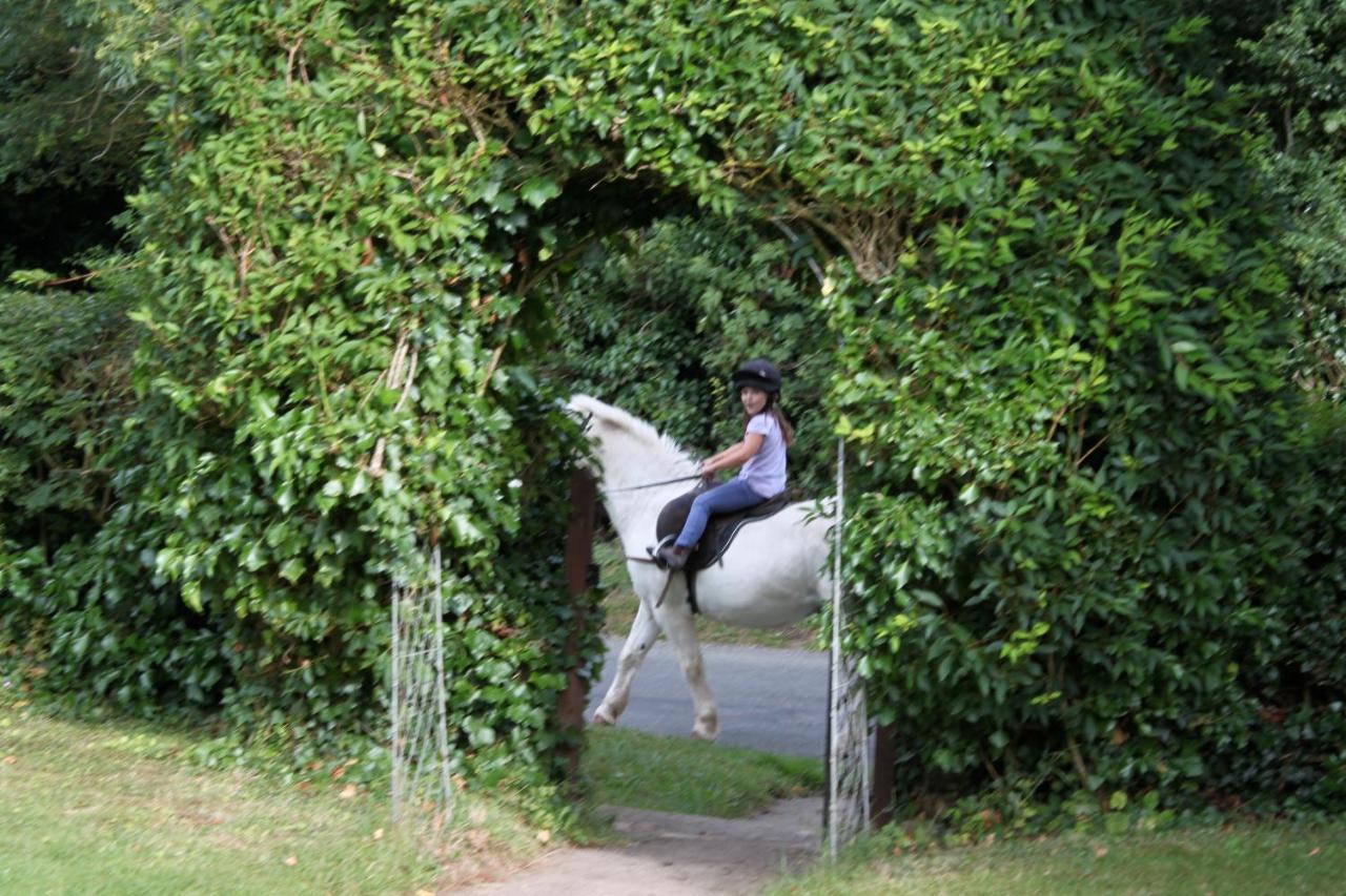 Fosse Farmhouse Holiday Cottages Chippenham  Bagian luar foto
